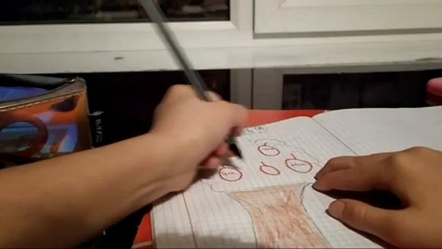 Как правильно заполнять дневник #2 смотреть онлайн
