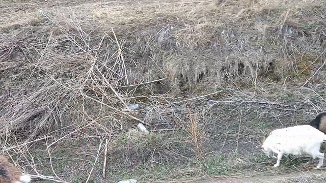 Болталка на гулянке смотреть онлайн