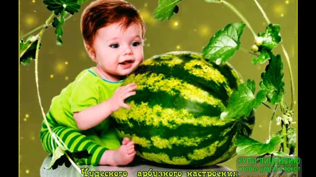 С Днём Арбуза!Весёлая песенка про арбуз-её знает весь Ютуб! смотреть онлайн