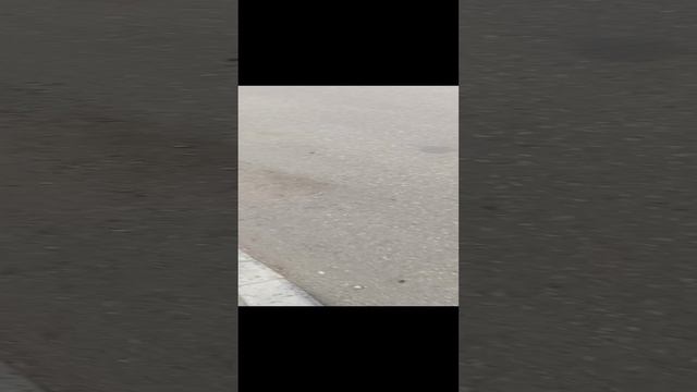 1 сентября смотреть онлайн