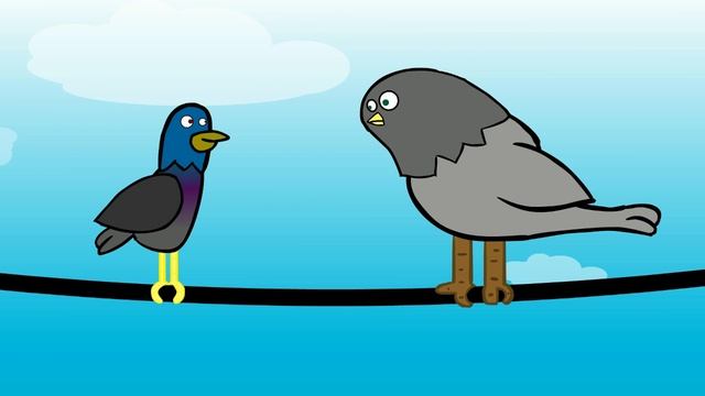 Why birds poop on us смотреть онлайн