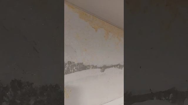 Строительные Тайны