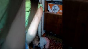 Попробовали поставить брата в угол