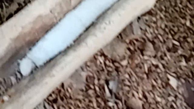 Кормушка не для депутатів смотреть онлайн