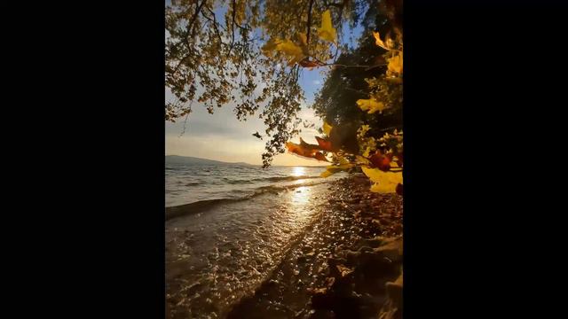 CHROES (For woodwind quartet) смотреть онлайн