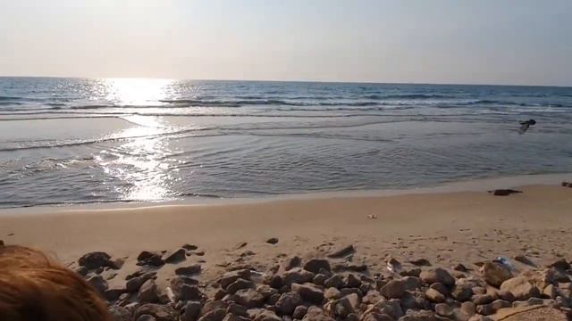 ПОЛ это ЛАВА ЧЕЛЛЕНДЖ | УВЕРНИСЬ ОТ ВОЛНЫ в реальной жизни | Тайский ресторан