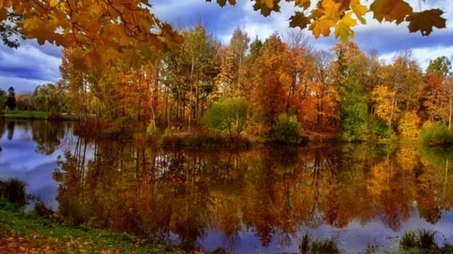 ОСЕННЯЯ ПРОГУЛКА смотреть онлайн