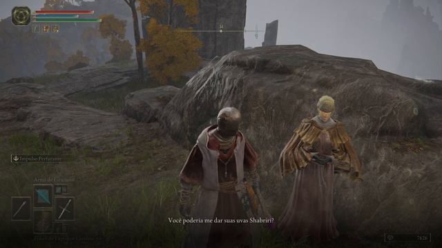 ELDEN RING - 1ª localização de Hyetta depois de pegar a Uva Shabriri após matar Godrik смотреть онлайн