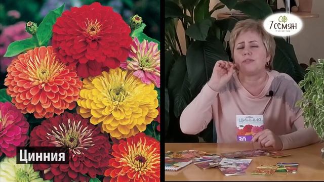 7 ЦВЕТОВ ДЛЯ КЛУМБЫ, КОТОРЫЕ УКРАСЯТ ВАШ САД | 7 семян смотреть онлайн