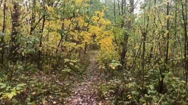 Продолжение#2 смотреть онлайн