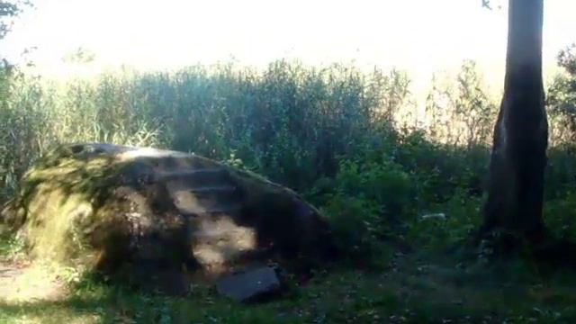 Пушкин. Лукоморье. смотреть онлайн