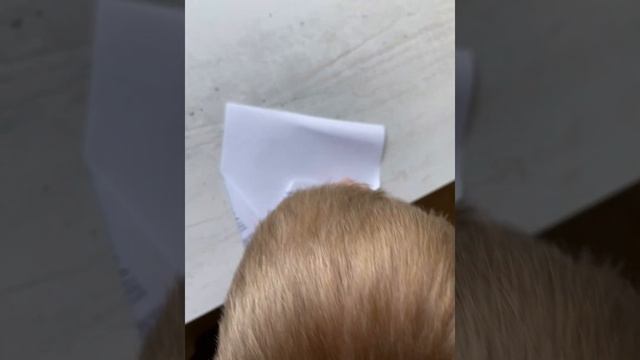 Самолет бумеранг из бумаги смотреть онлайн