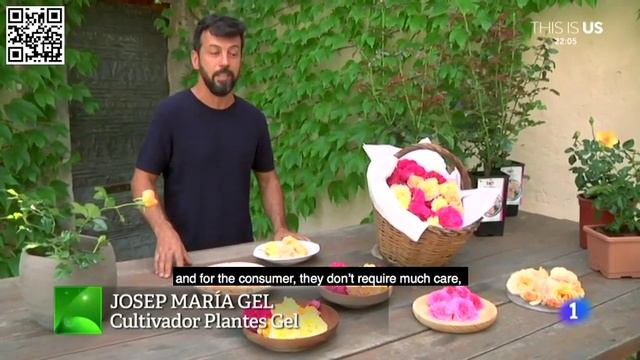 Jordi Roca Rose Dessert