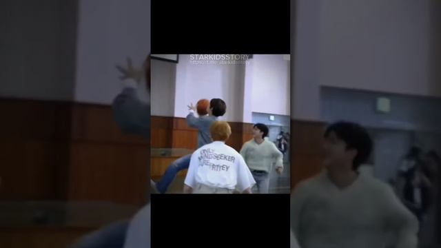 Тг канал в котором находятся все главы в комментариях) #leeminho #rec #стрейкидс #рек #straykids смотреть онлайн