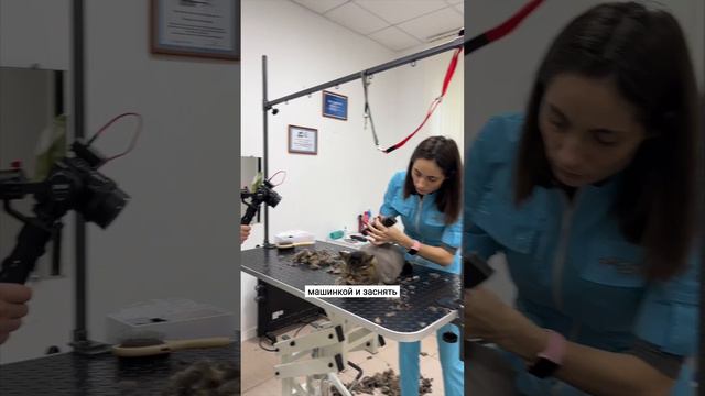 Компьютерные игры