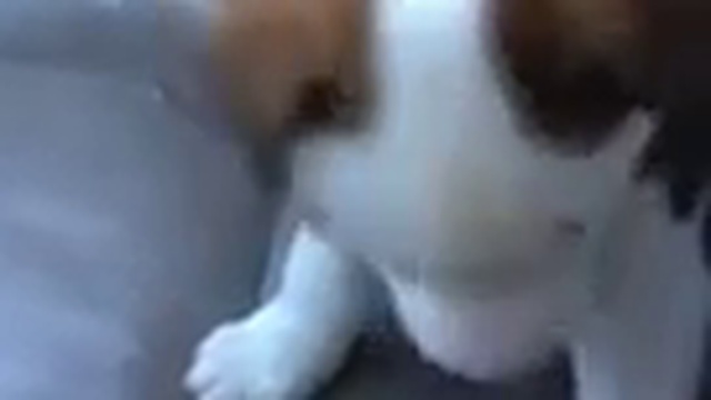 Я не икаю смотреть онлайн