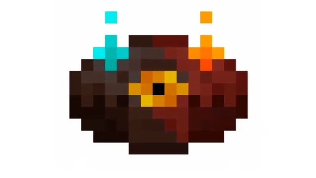 Fan Made Minecraft Disc - Fort-stress