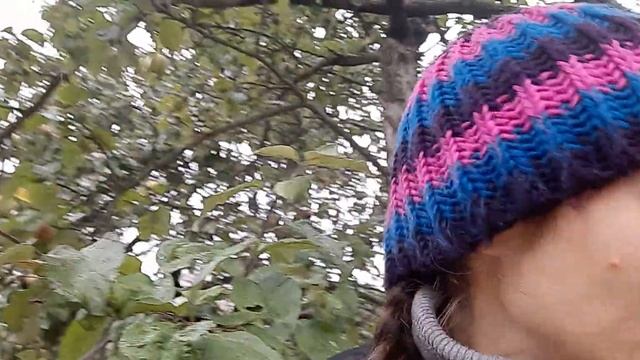 Дачный сезон "Антоновка" созрела Пришла на огород за яблоками "Антоновка" смотреть онлайн