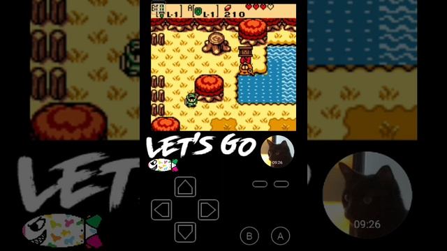 S8 Edge : The legend of zelda oracle of seasons смотреть онлайн