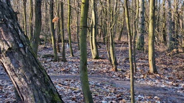 Samsung Galaxy S22 Ultra 8K 24 FPS смотреть онлайн