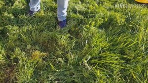 Триммер Чемпион Как запустить на холодную и горячую Пошаговая инструкция