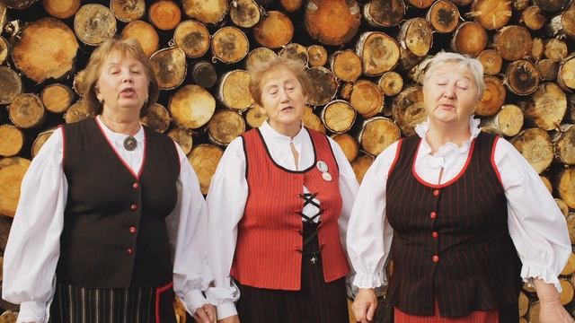 Ансамбль финской песни «Туоми» [Карелия музыкальная] смотреть онлайн