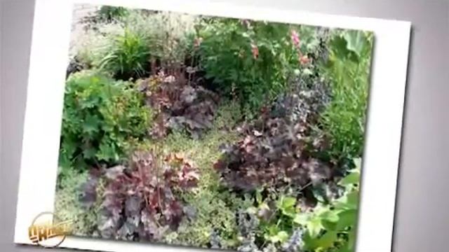 Кружевной цветник смотреть онлайн