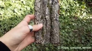 🧚♀️видио как украсить комнату в стиле goblin core🧚♀️