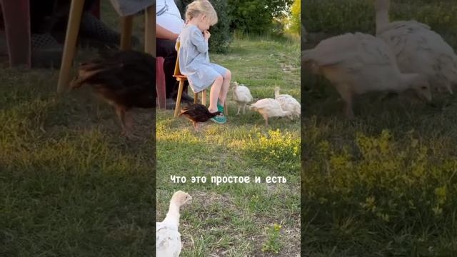 Продолжаем радоваться чему-то простому, не всегда понимая, что это простое - и есть самое ценное! смотреть онлайн