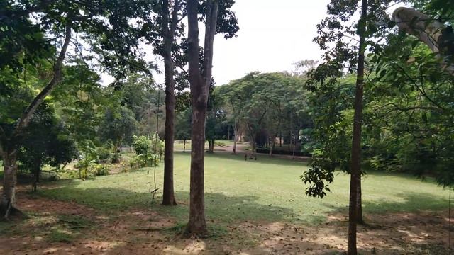 Henarathgoda Botanical Garden - Gampaha Sri Lanka смотреть онлайн
