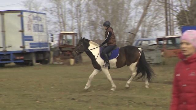 Центр иппотерапии "Живое тепло" и лечение особенных детей смотреть онлайн