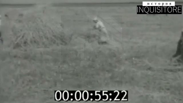 Неравенство при Сталине (отмена партмаксимума, аскет Сталин, (не)бесплатное образование, трудодни) смотреть онлайн