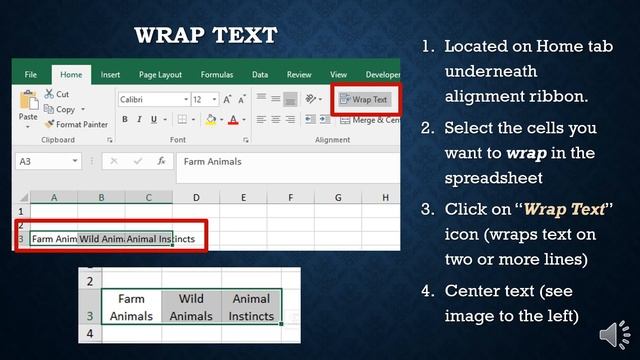 U5 C1 Excel Part 1 смотреть онлайн