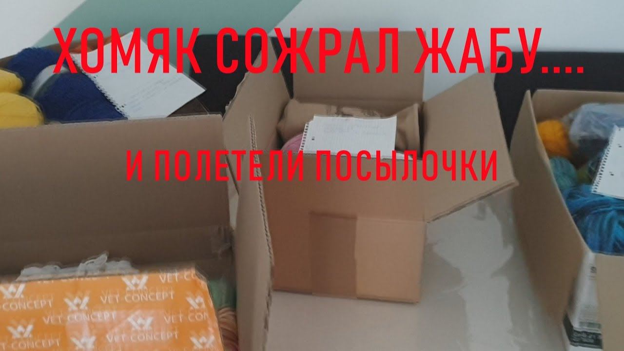 #302. Хомяк сожрал жабу...... смотреть онлайн