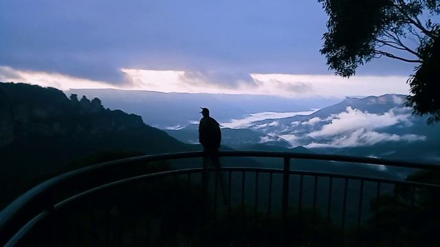 Песня Лирохвоста: Уникальная встреча русского гида с лирохвостом. Lyrebird song in Blue Mountains смотреть онлайн