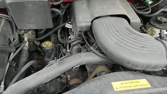 1998 Ford Expedition Xlt-rising Phoenix Antiques