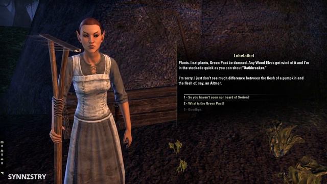 Wandering Minstrel #40 - Aldmeri Dominion Quests ~ Elder Scrolls Online смотреть онлайн
