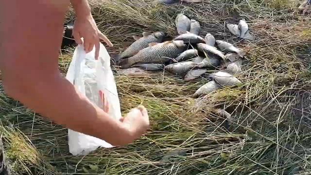 Что ловится на КЕЛЕМЕТОВЕ ? Рыбалка в Адыгее. смотреть онлайн