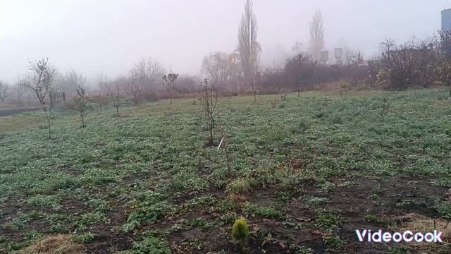 03.11.23. Перша свинка ..забій.. смотреть онлайн