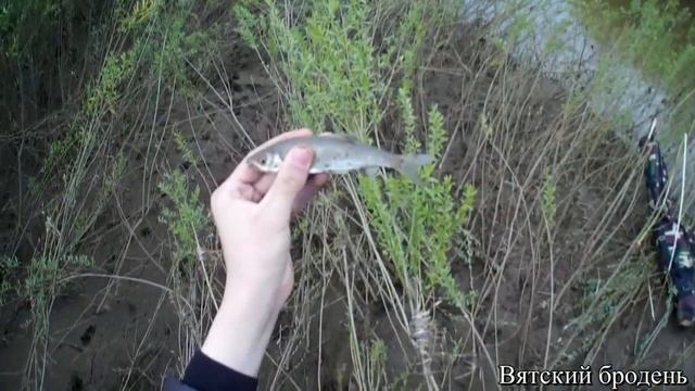 Рыбалка на реке Кобра в мае смотреть онлайн