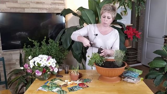 ДЕКОРАТИВНЫЙ ОГОРОД НА ПОДОКОННИКЕ!!! ТАКОГО НЕ ДЕЛАЛ ЕЩЕ НИКТО DIY / Садовый гид смотреть онлайн