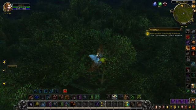 Эльфийка на тигре (и с ней паладин) исследует новые Восточные Королевства. смотреть онлайн