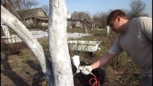 Супер Побелка плодовых деревьев. Быстро красим стволы деревьев