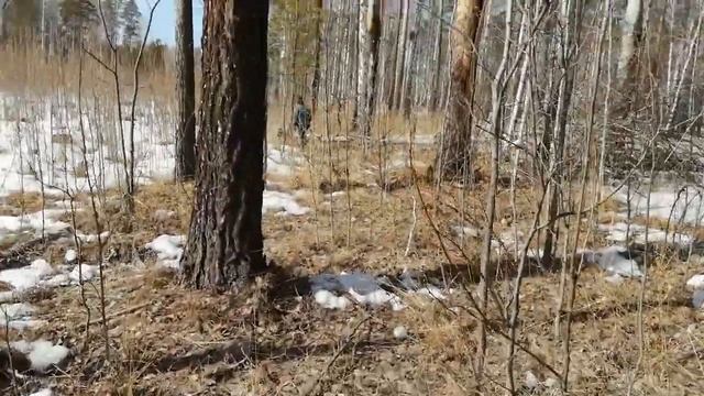 МЕТАЛЛОИСКАТЕЛЬ МД4030. И ПЕРВОЕ ВИДЕО смотреть онлайн