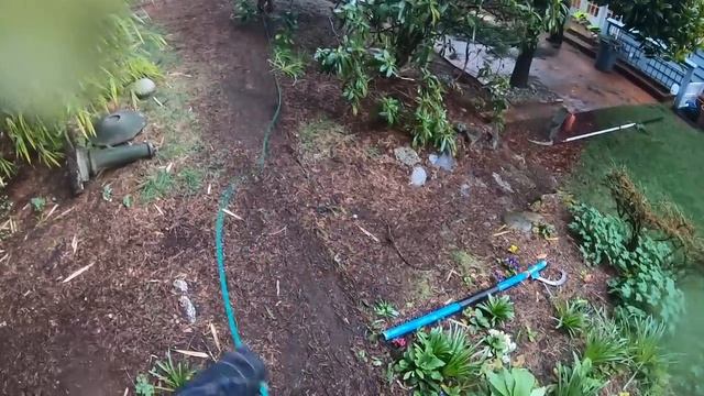 BIG Tricky Backyard Fir Removal! смотреть онлайн