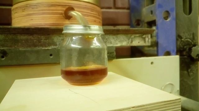 Холодный отжим Черного тмина