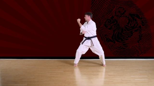 Tekki Shodan - Shotokan Karate-Do JKA смотреть онлайн