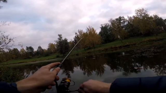 Хороший клев окуня на пруду возле дома... смотреть онлайн