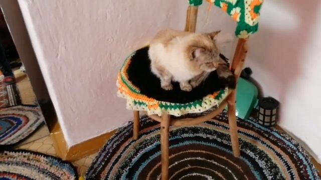 Сшила наволочки Выгнала кота Деревенские будни смотреть онлайн
