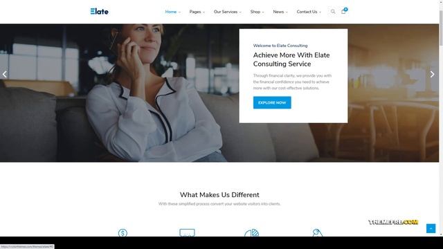 Elate Financial Consulting WordPress Theme consulting services Minami смотреть онлайн